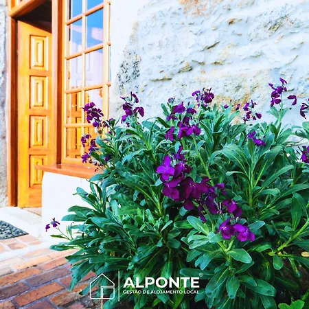 Casa Da Pedra By Alponte Venade