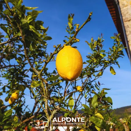 بيت للعطل Casa Da Pedra By Alponte *