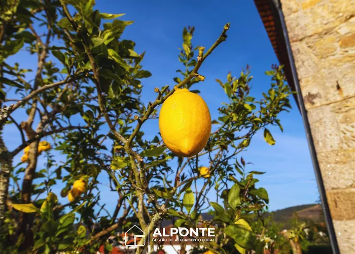 Holiday home Casa Da Pedra By Alponte *